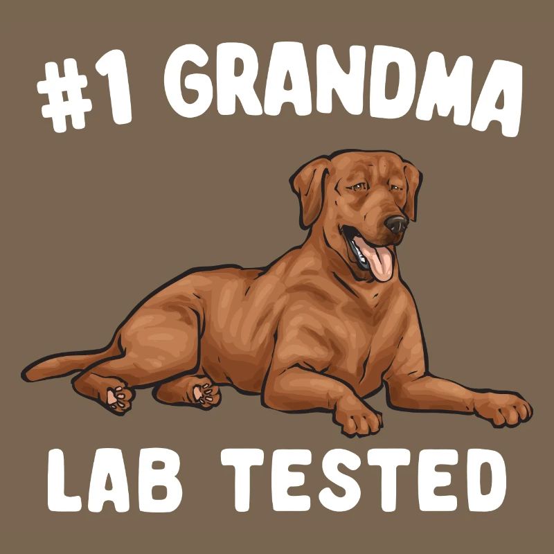 Fuchsroter Labrador Retriever Fox Red Labrador