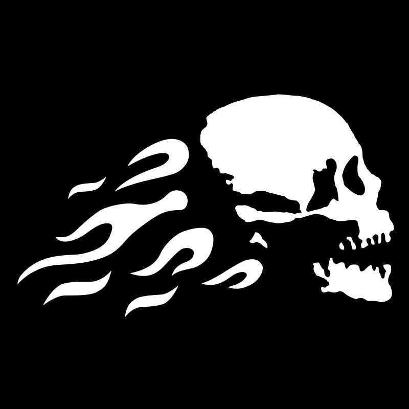 fast_skull