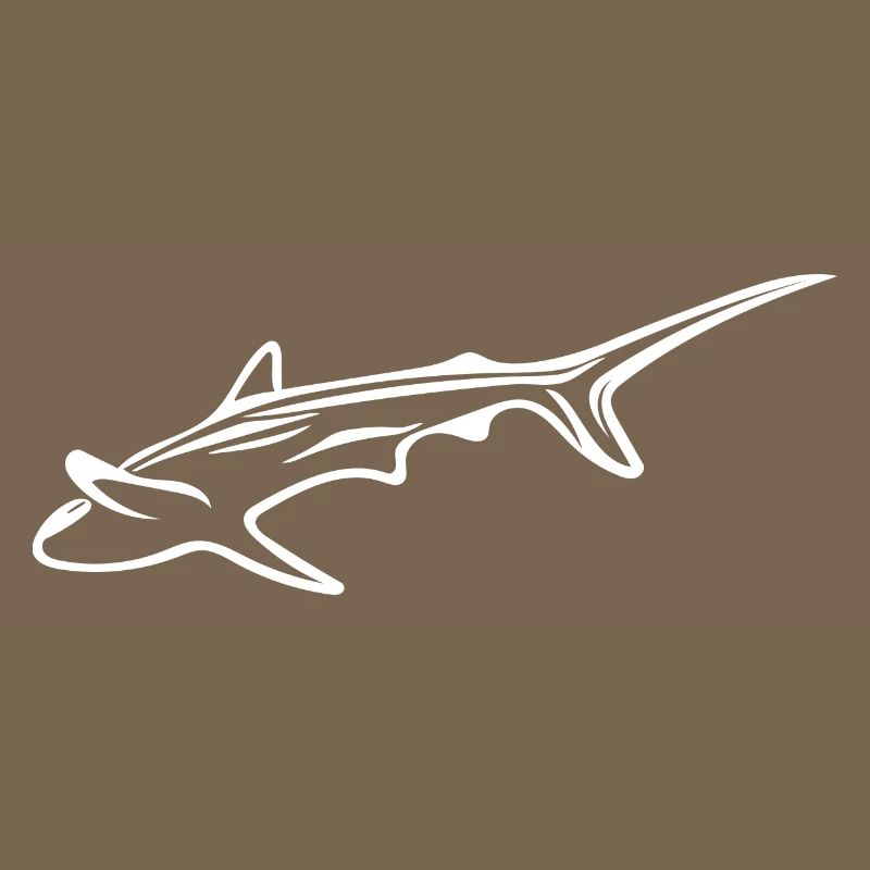 Requin élégant dans le courant de dérive