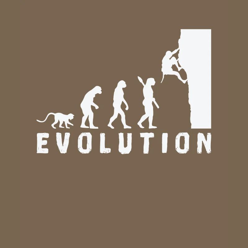 Escalade Bouldern Evolution