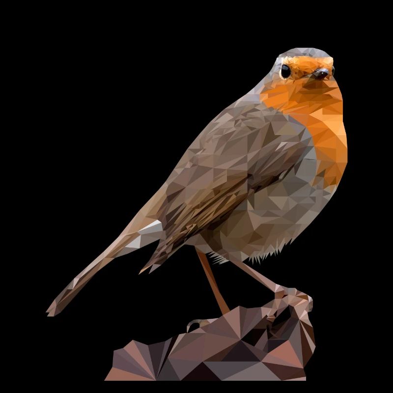 Robin Design, Polygone de l’oiseau de l’année 2021