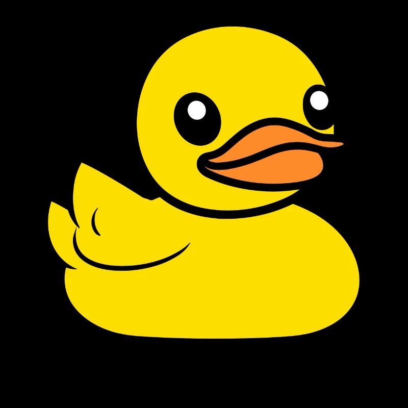 canard