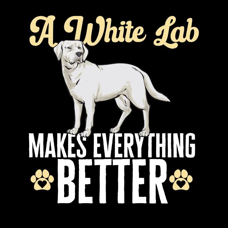 Labrador Retriever blanc Labrador Labrador blanc