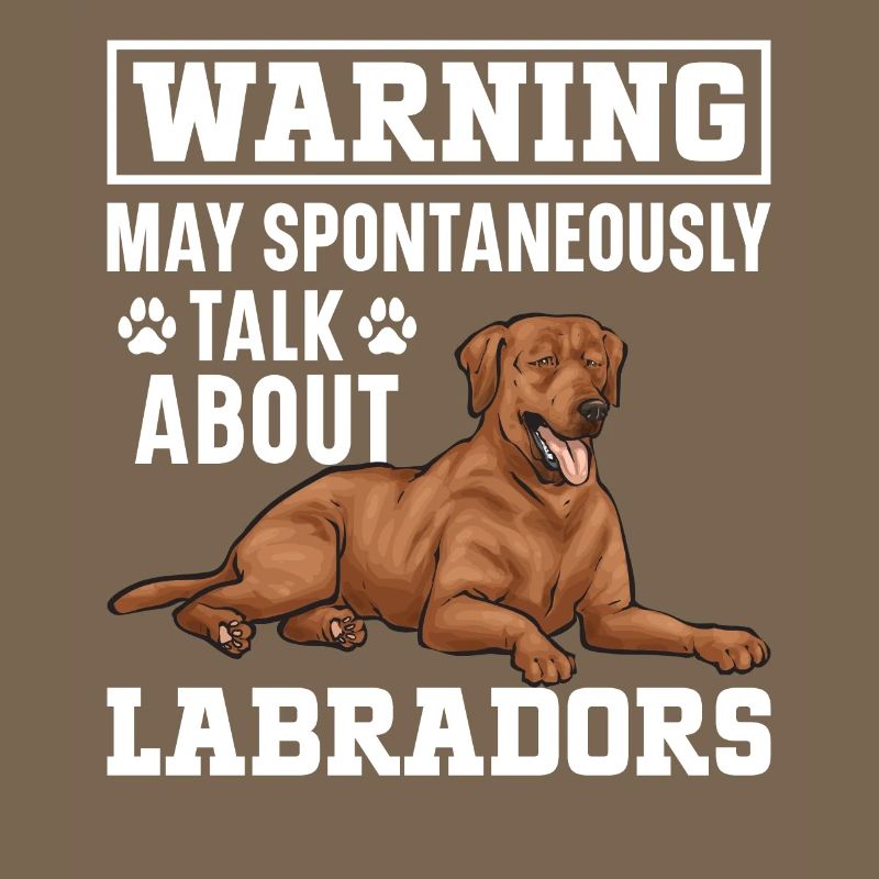 Fuchsroter Labrador Retriever Fox Red Labrador