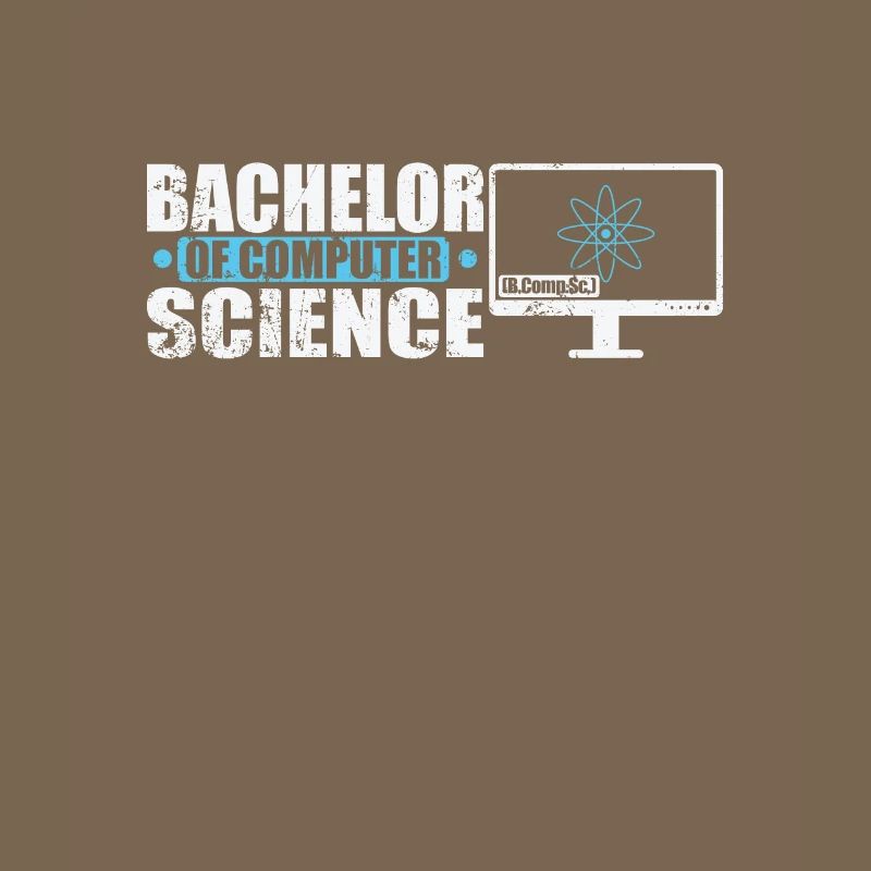 Bachelor of Computer Science Software Engineering