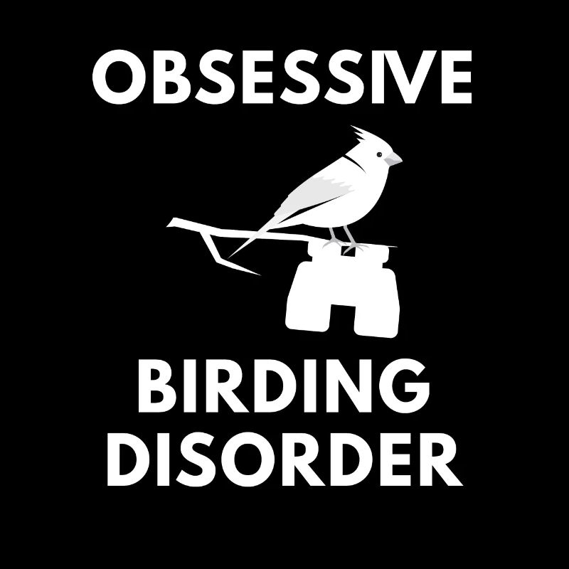 Observation des oiseaux - observation des oiseaux - observation des oiseaux - oiseau