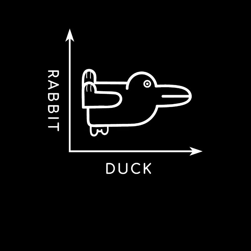 Bunny duck animals gift