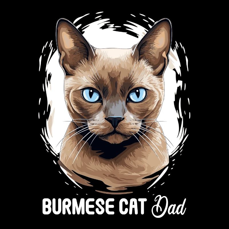 Chat birman Birmanie Katze