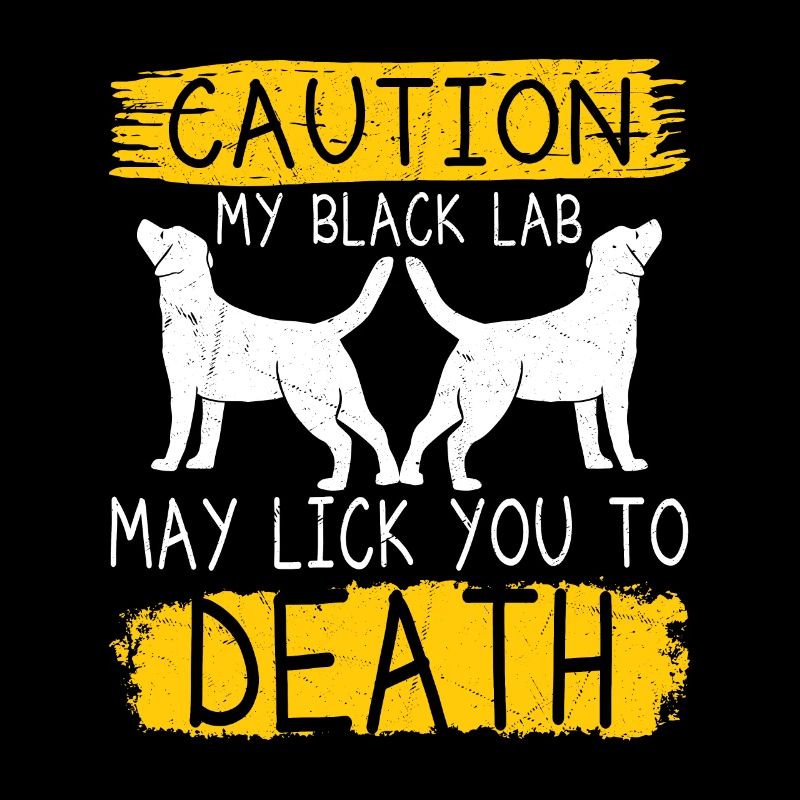Attention mon labrador noir peut te lécher à mort Labrado