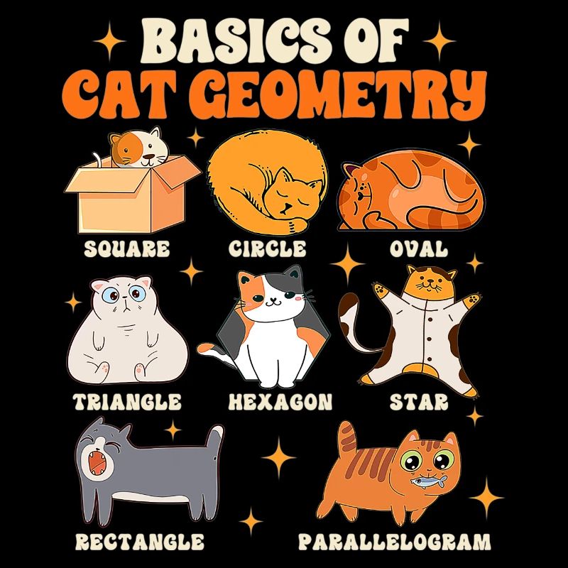 Vie d’enseignant de mathématiques Enseignement des bases de la géométrie du chat