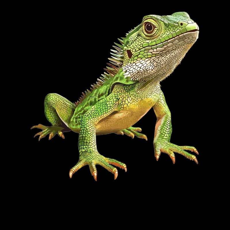 Lézards Lézard