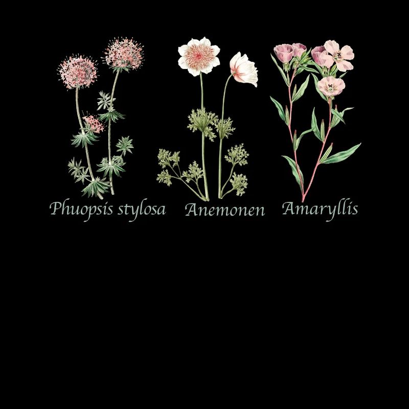Botanische Illustration Botanical Illustration