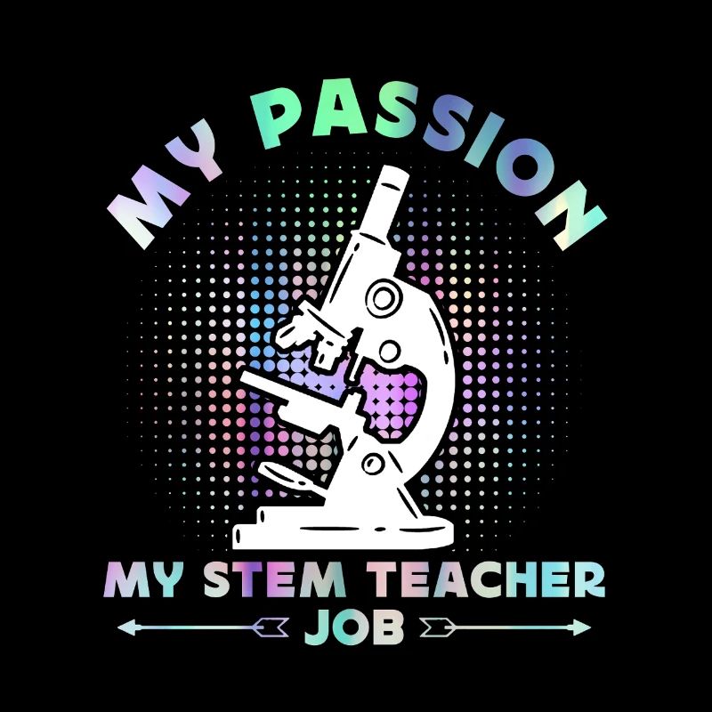 Professeur de STIM Ma passion Ma passion Informatique