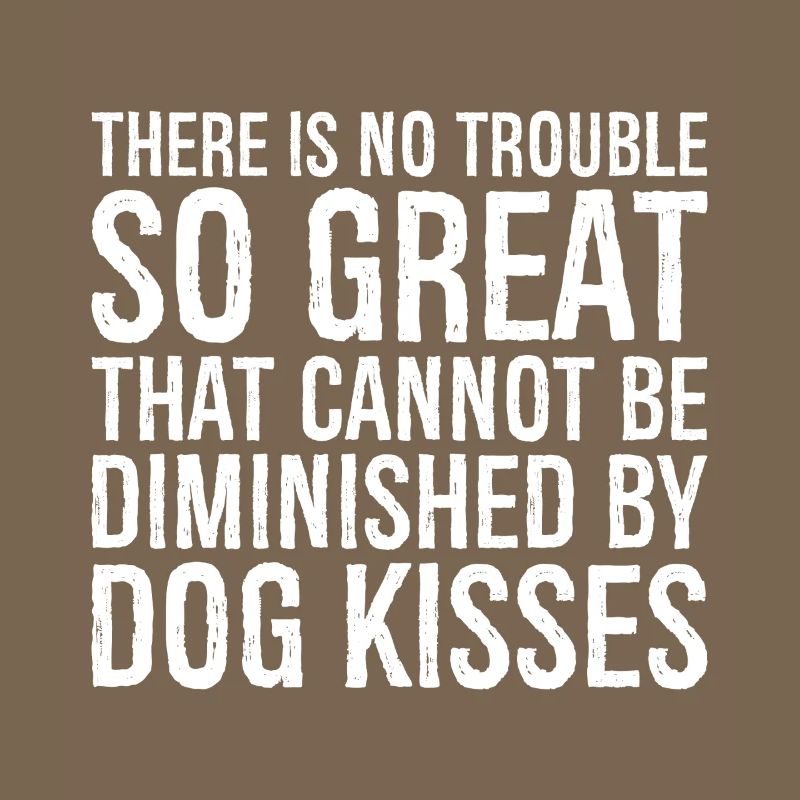 there is not trouble so great that cannot be di