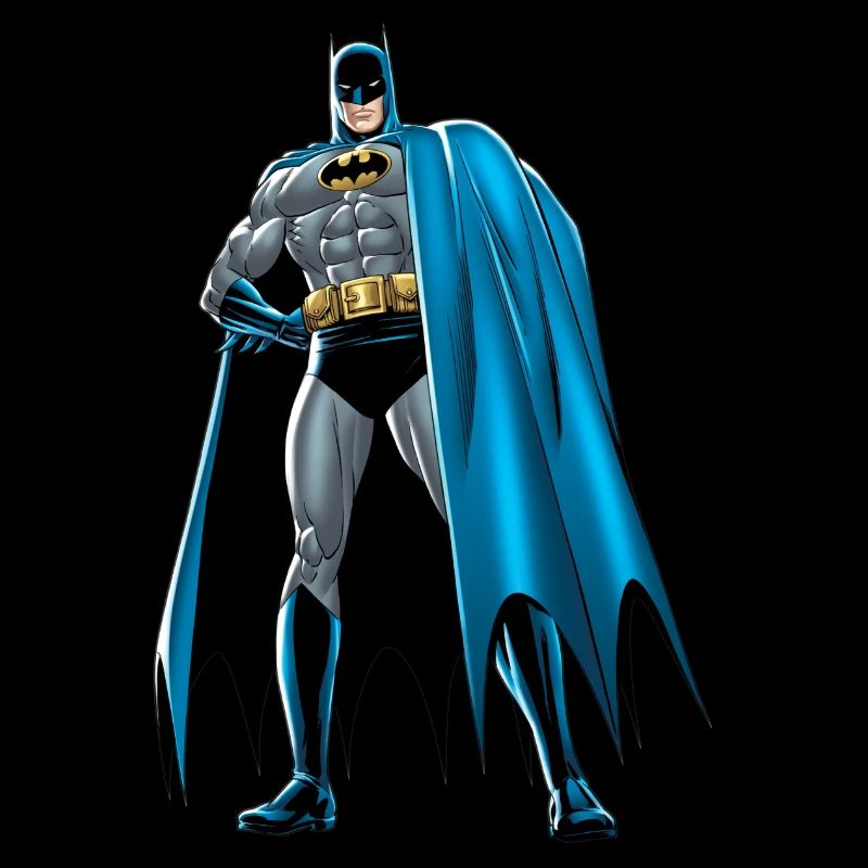 Batman Pose 1 Tee-shirt Ado