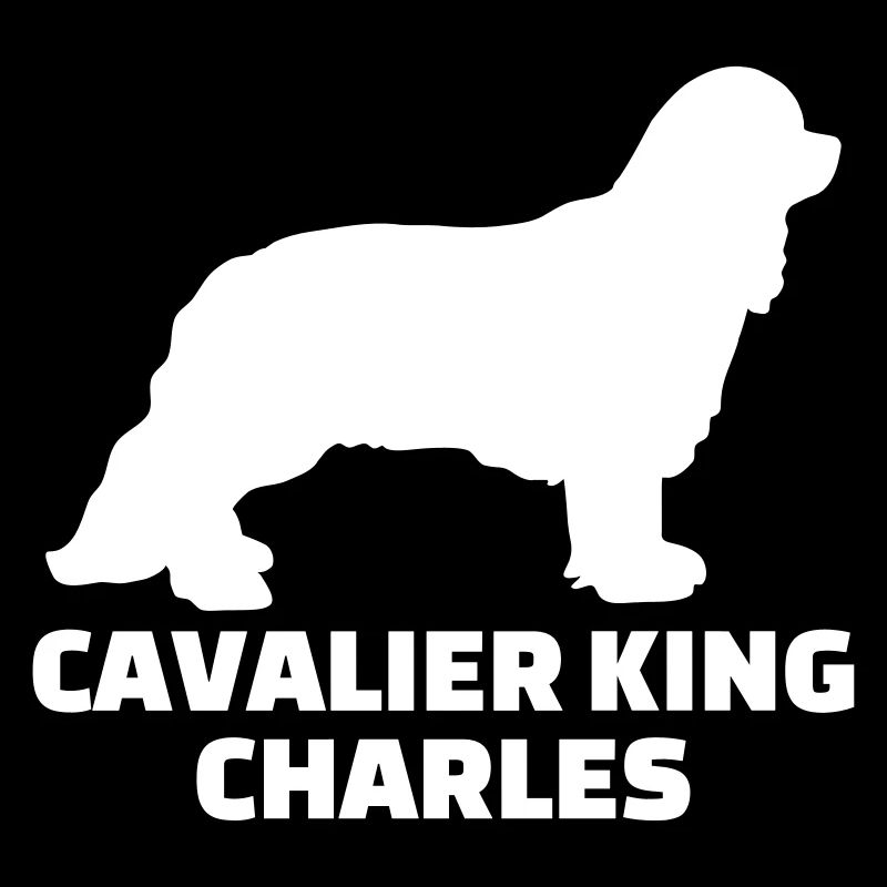 Cavalier King Charles