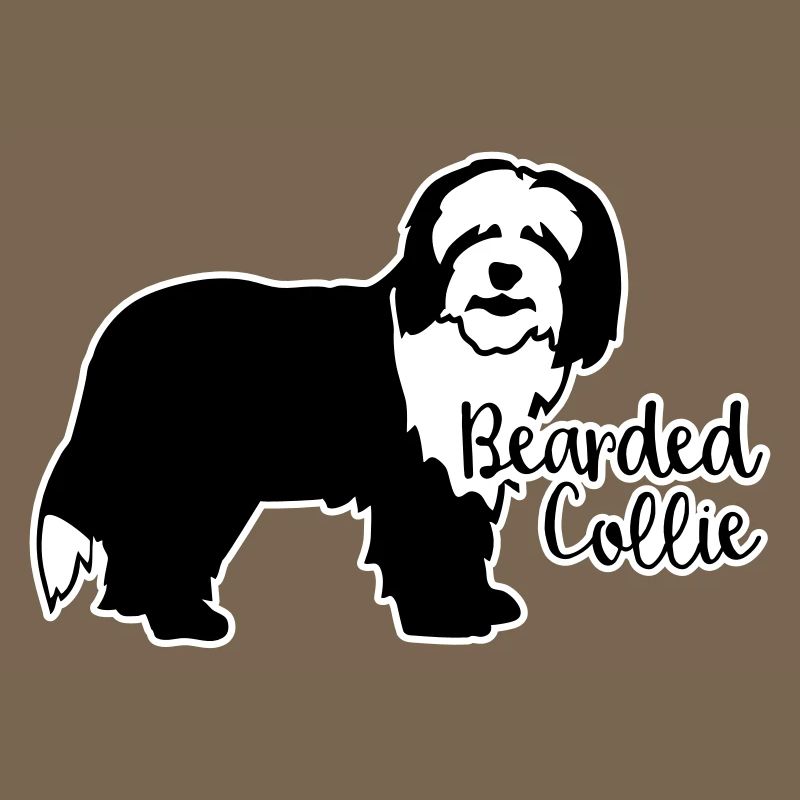 Bearded Collie