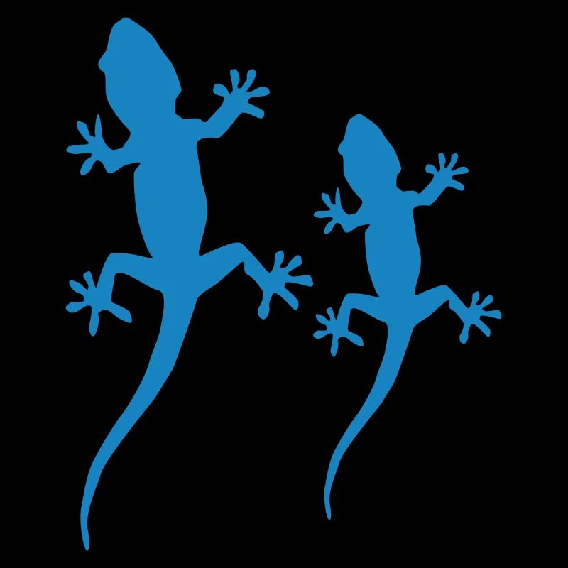 Gecko 02