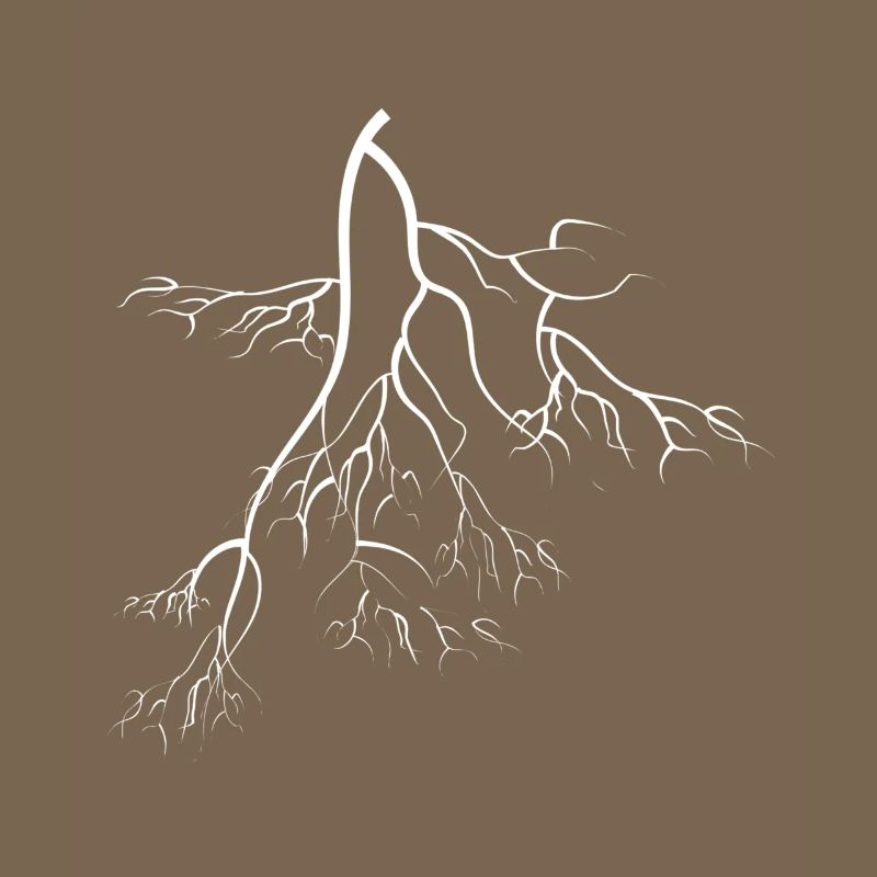 root