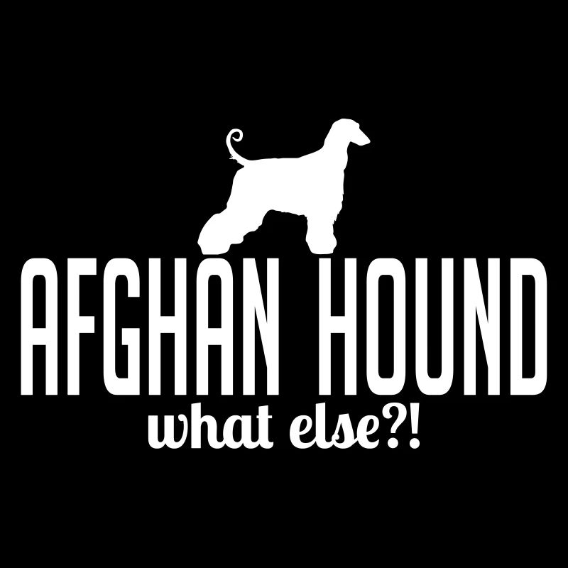 AFGHANE HOUND what else