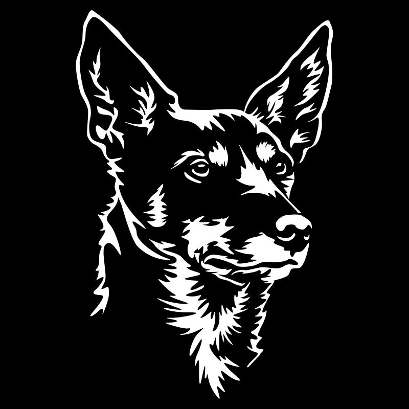Tête de Kelpie australienne "Black Edition"
