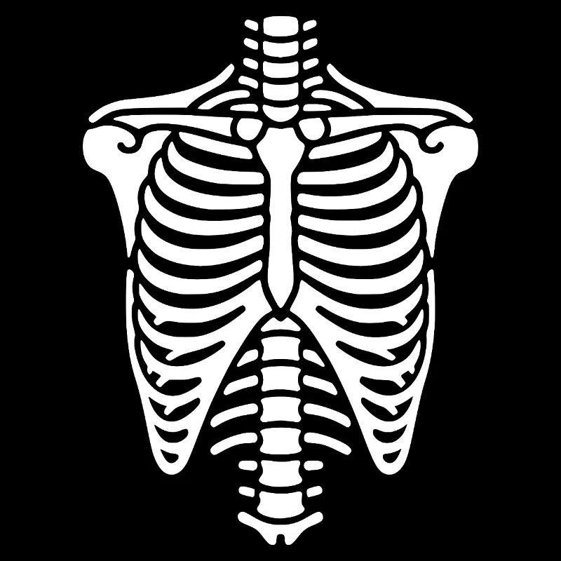 Cage thoracique, squelette, thorax et côtes, os