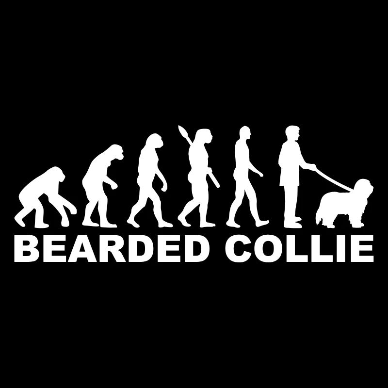 Bearded Collie