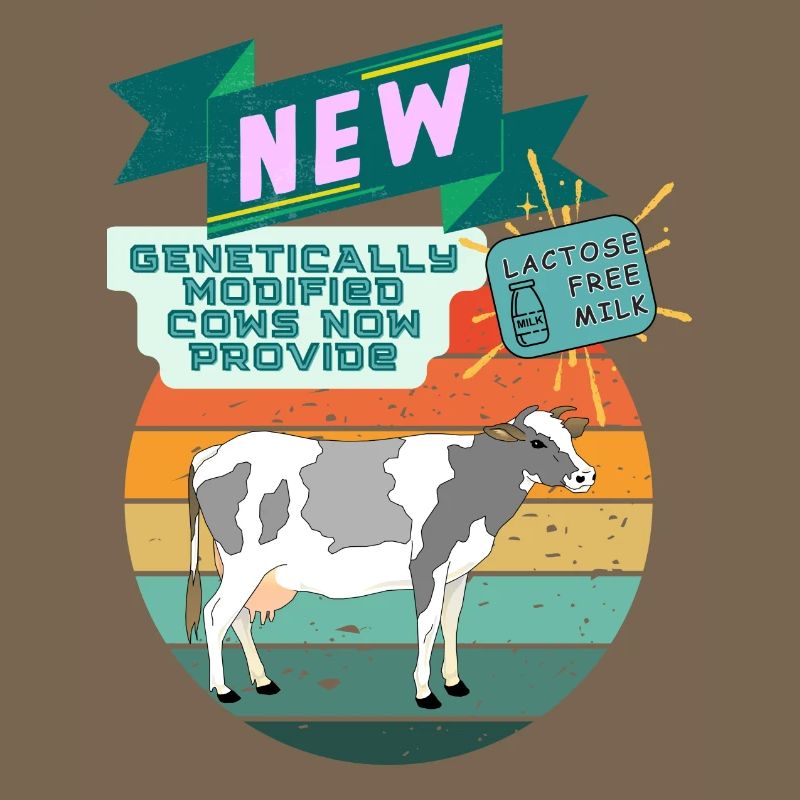 genetically modified cows