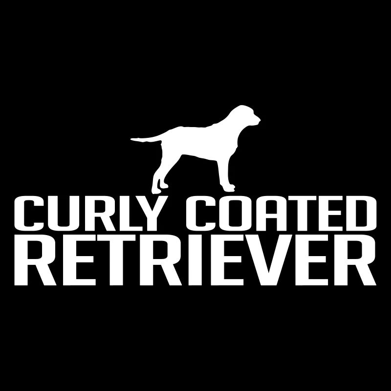 CURLY COATED RETRIEVER dog