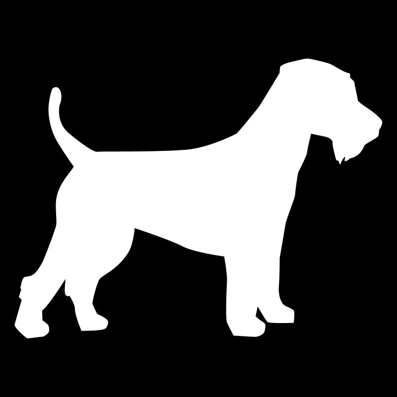 Welsh Terrier