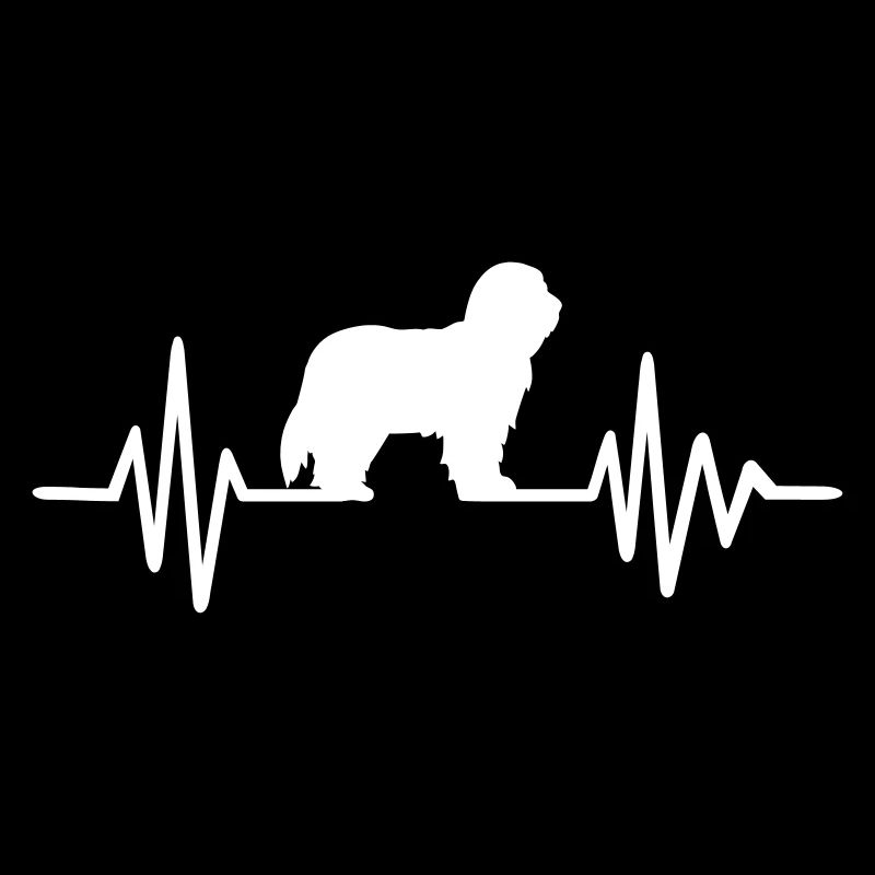 Bearded Collie
