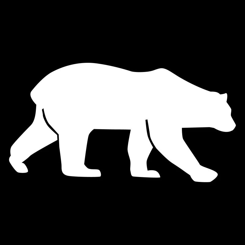 Ours polaire