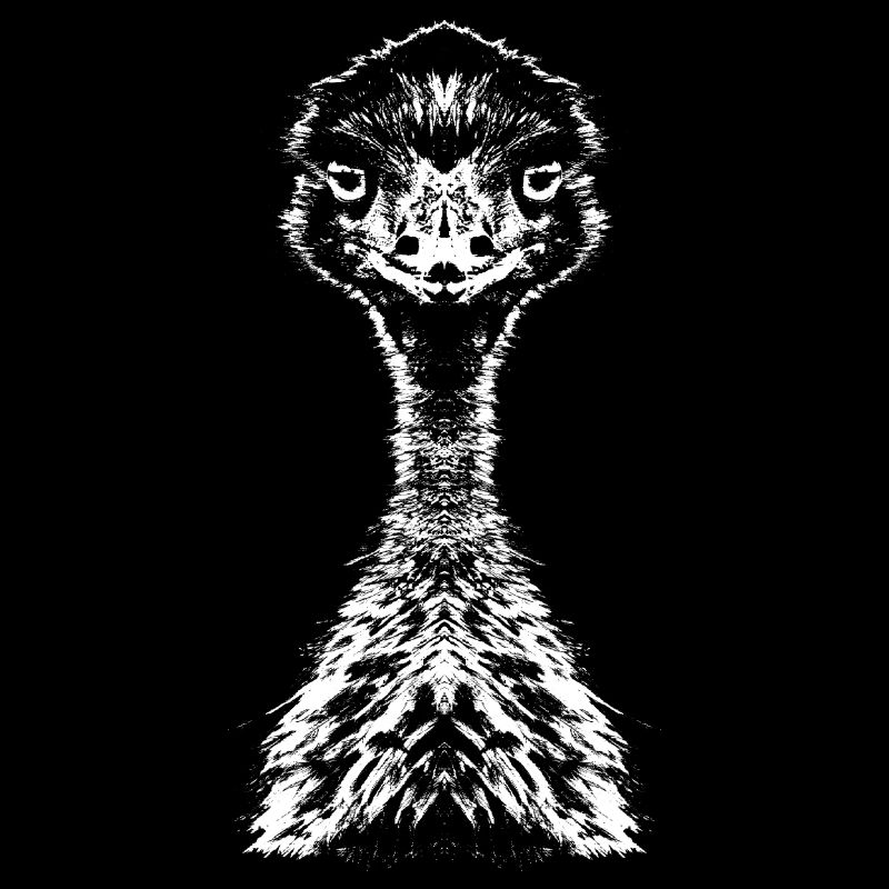Emu / Ratite / Portrait