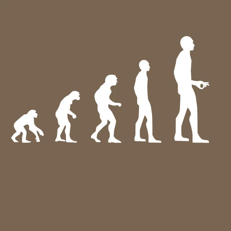Évolution
