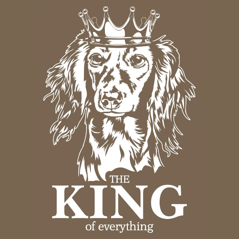 Teckel à poil long Roi de tout Dire Chiens