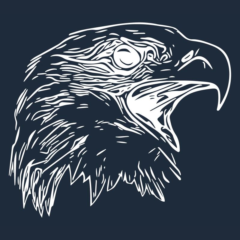 Tête d’aigle - Oiseau de prédant Royal Vector