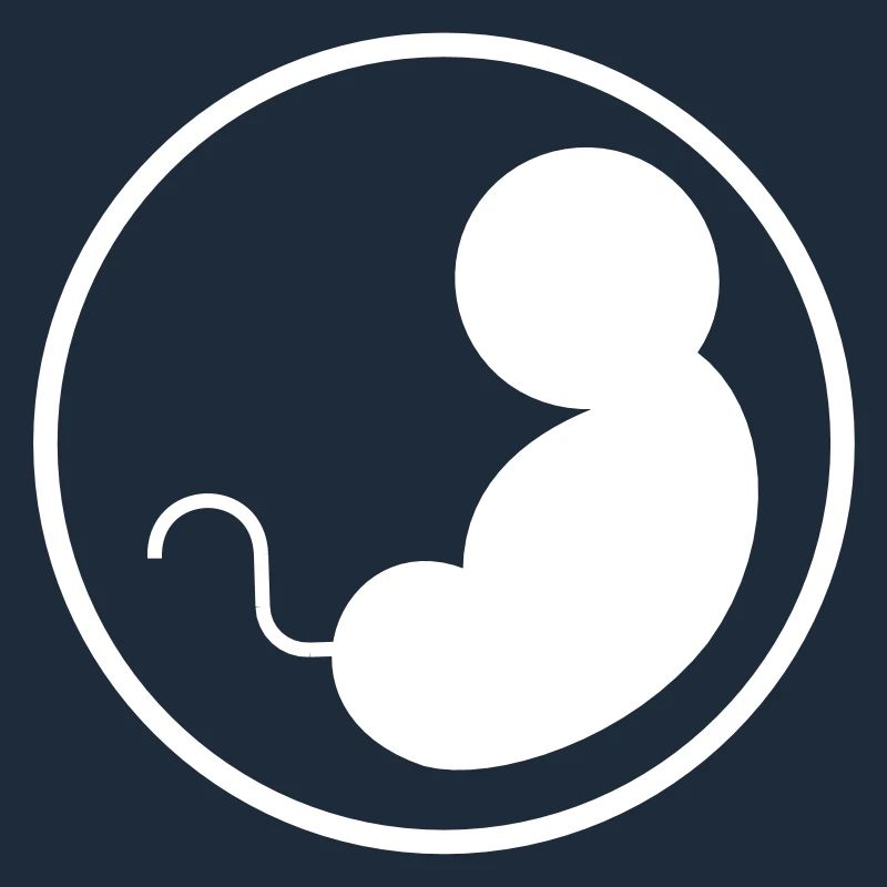 Enceinte - Bébé - Maternité - Grossesse