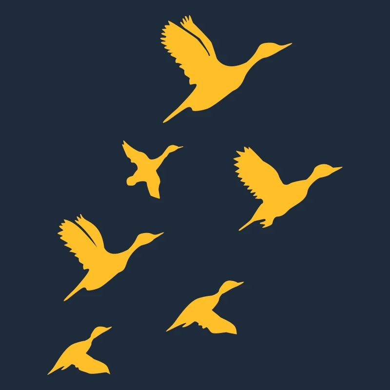 Flying Ducks