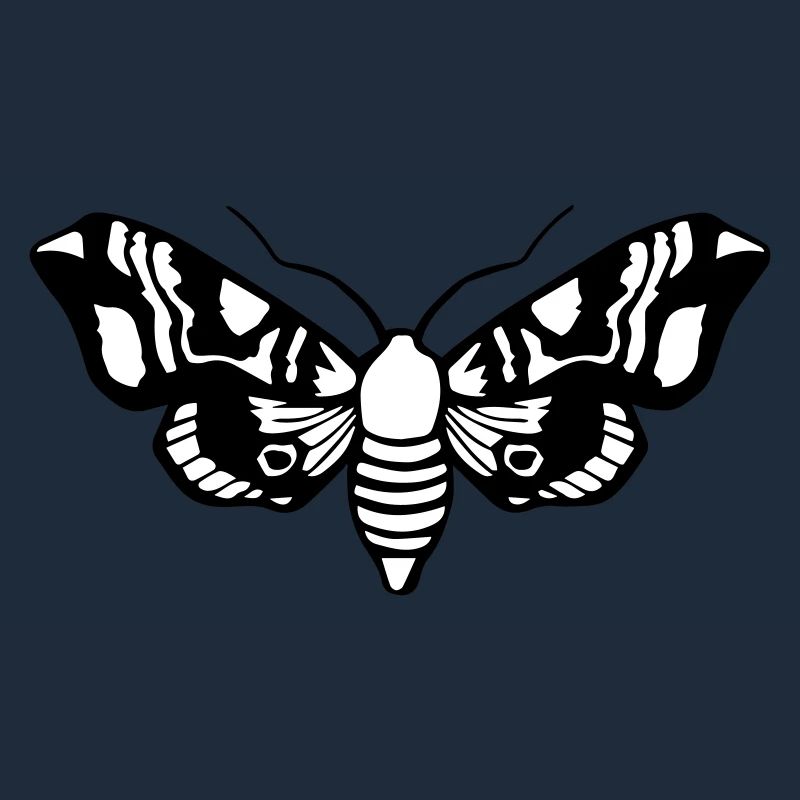 Moth / Moth