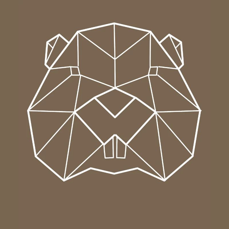 Polygone de castor