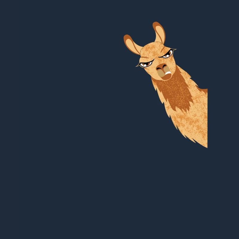 Alpaca Llama Gift Grumpy Llama Alpaca Look