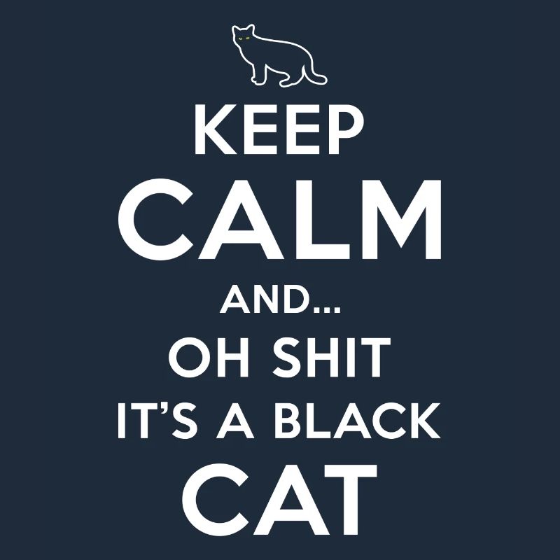 Superstition Chat Noir