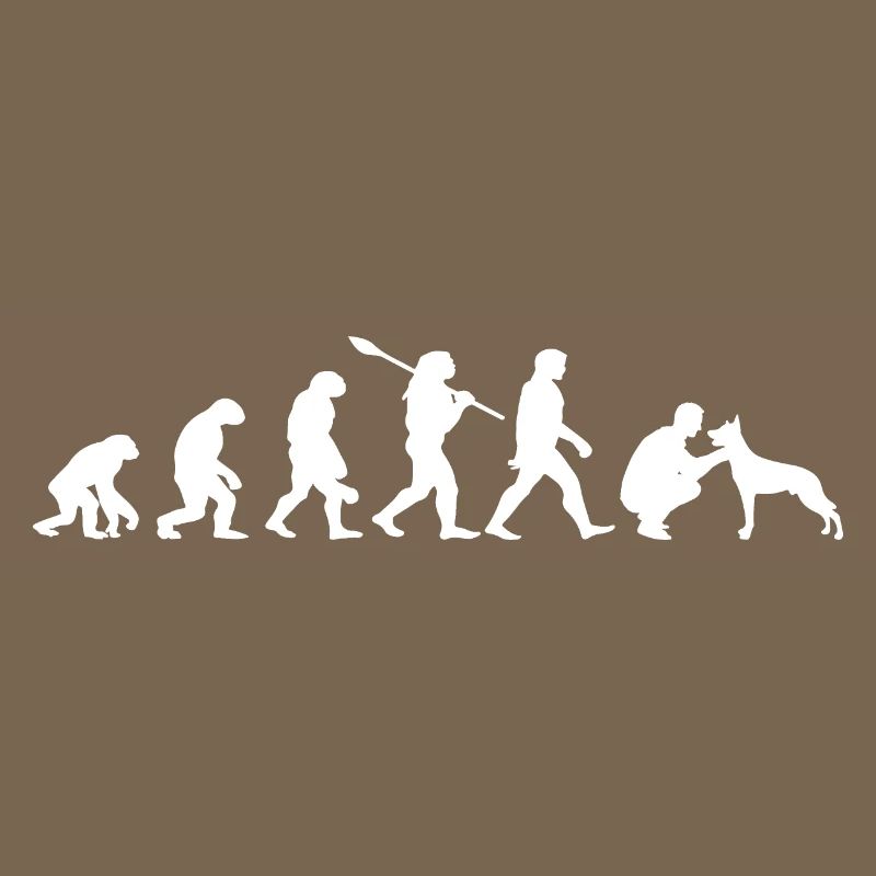 Evolution Funny Belgian Shepherd Dog Malinois