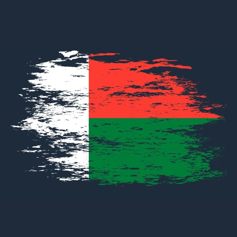 Drapeau de Madagascar utilisé