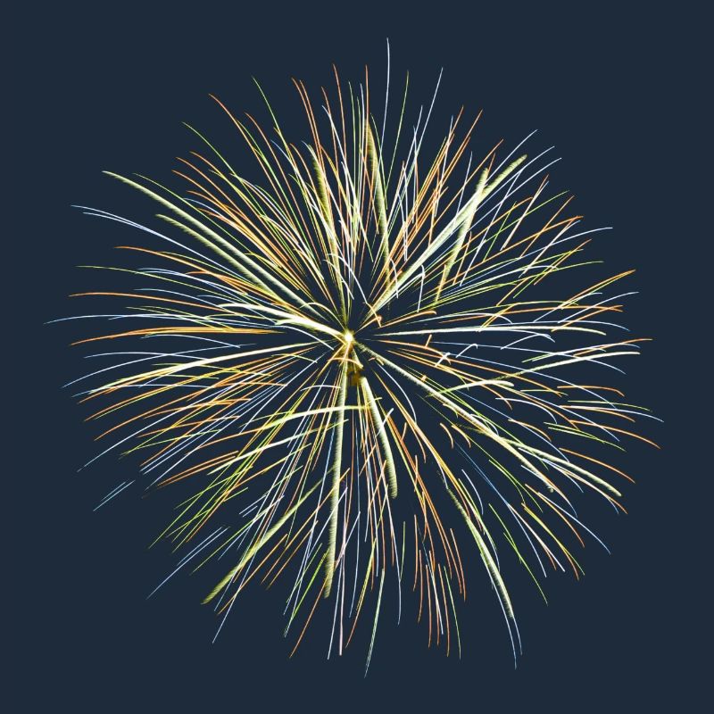 Feu d’artifice - Fireworks (multicolor)