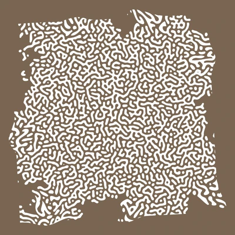 Turing Pattern Blanc - Ver