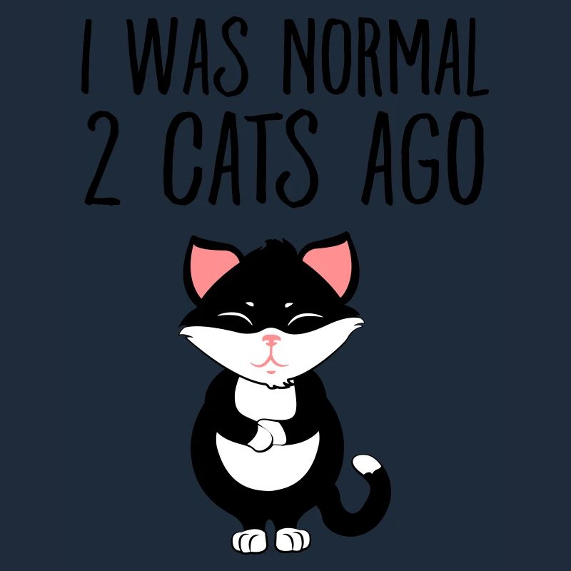 I Was Normal 2 Cats Ago