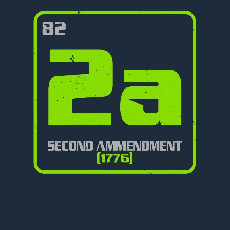 Second Amendment Gun Rights 2nd Amendment America