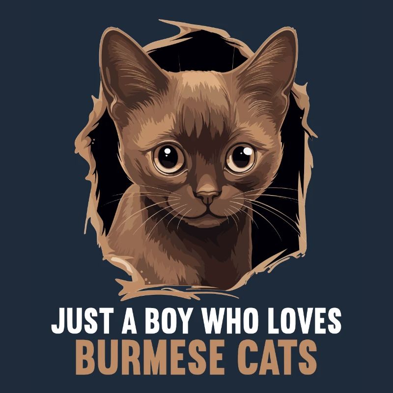 Chat birman Birmanie Katze