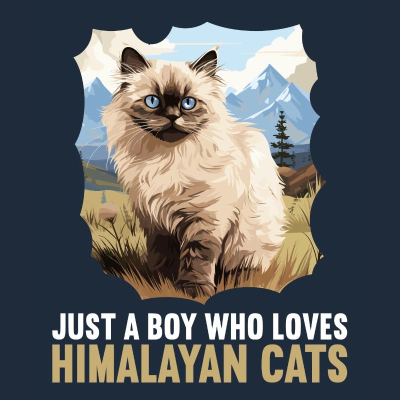 Chat de l’Himalaya Colourpoint Katze